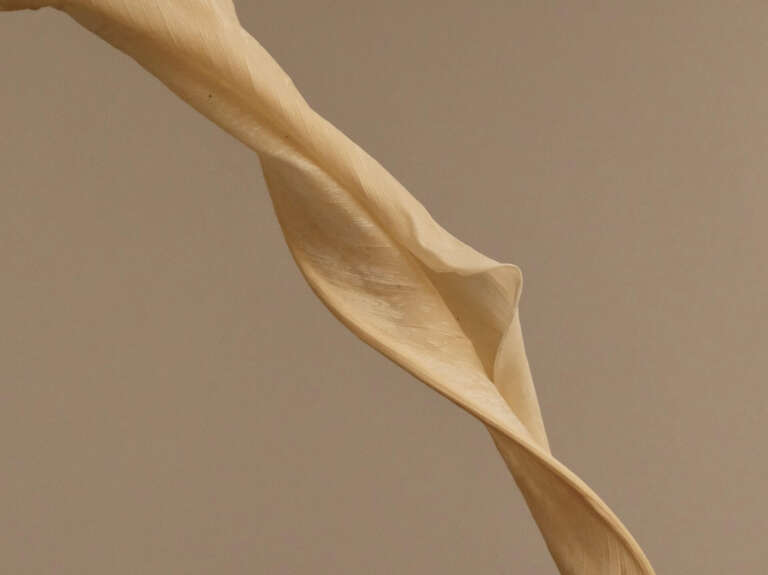 Learn How to Mix Your Favorite Music