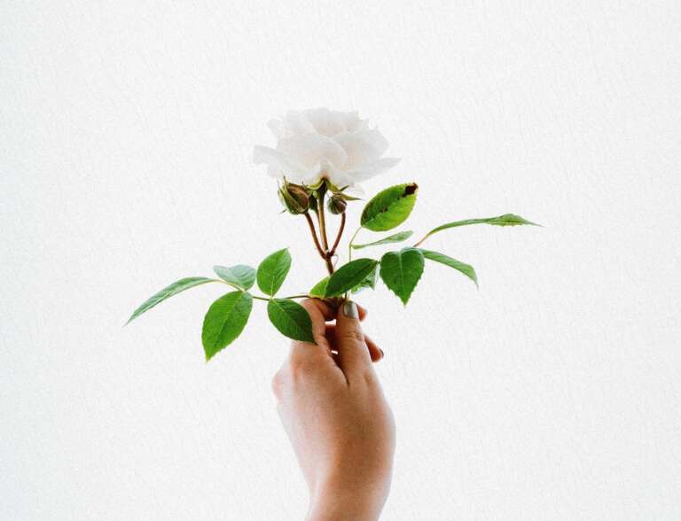 Can You Imagine Your Life Without Modern Art?