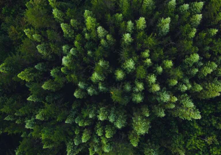 Beautiful Nature Footage Taken via Drones at Various Locations